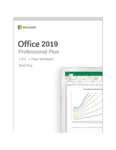 Office 2019 Professional plus (Reinstalable)