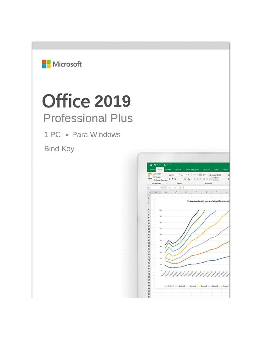 Office 2019 Professional plus Permanente