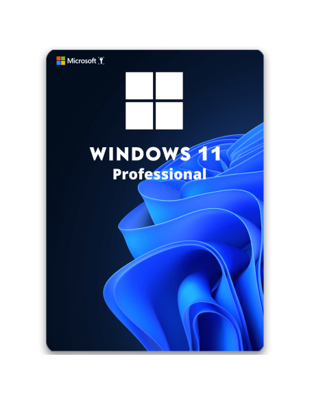 Windows 11/10 Professional - Actualización